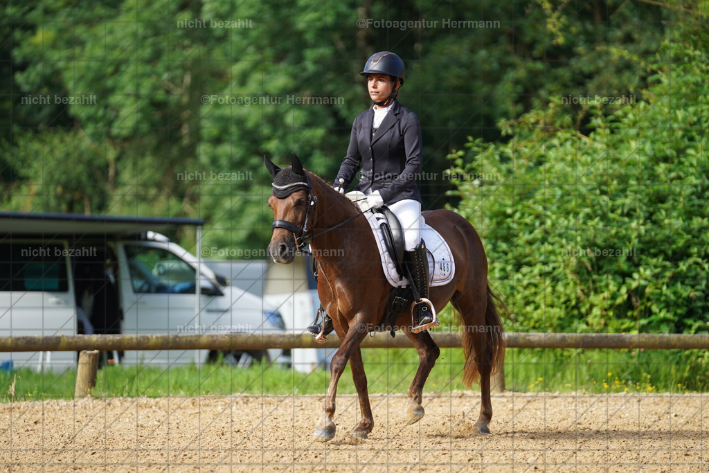 20240706-FAH04375 | Grafing Turnierfotos, Reitverein Ebersberg, Turnierfotografen Bayern, reitsportbilder, Pferdefotograf, reitsportfotograf, Sportbilder, Reitsportfotografie, Fotoagentur Herrmann, Turnierfotograf