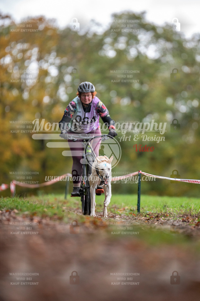 DBT_DAKM_SA_4_11_2023_Bike-88 | PayLife