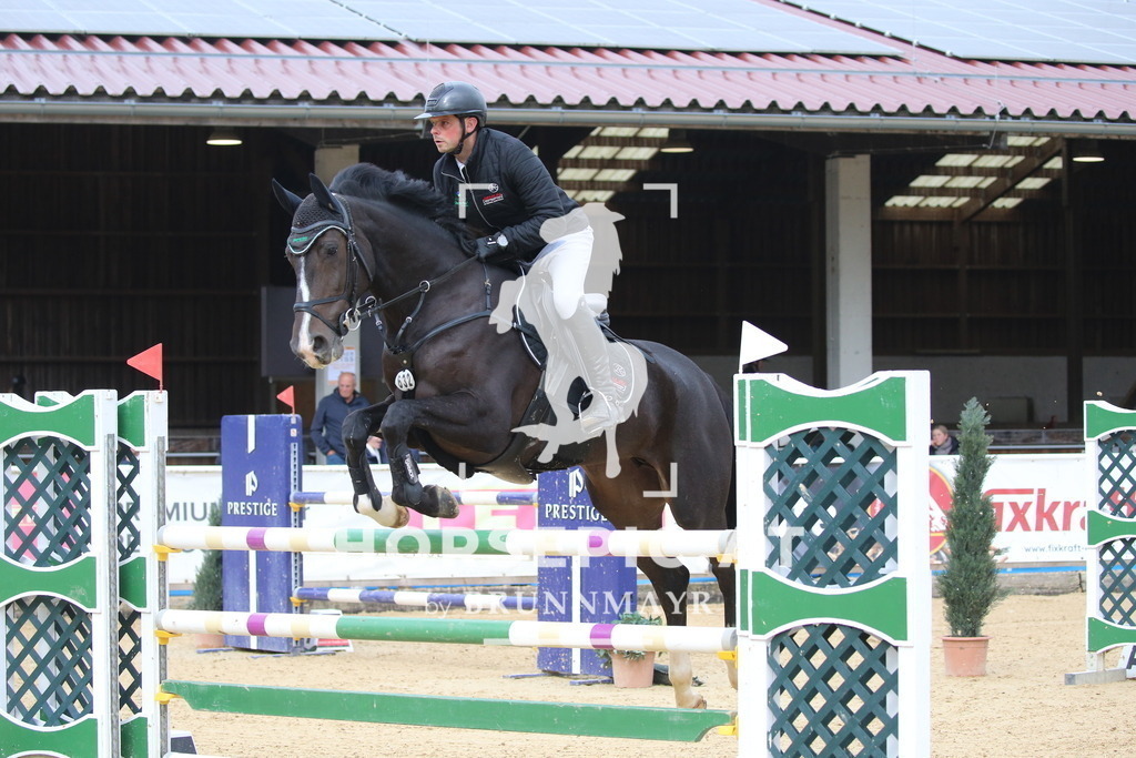 DL2Q0902 | Willkommen bei Brunnmayr - Design & Fotografie – Ihrem Spezialisten für Reitturniere und Pferdeveranstaltungen in Oberösterreich, Salzburg und Bayern! Seit über 17 Jahren sind wir leidenschaftlich dabei.