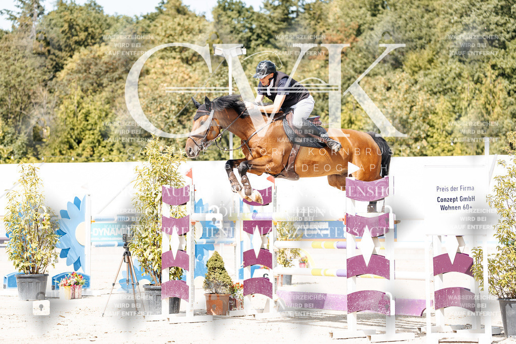 CK904875 | Turnierfotografie Pferdefotografie Trier Rheinland-Pfalz Pferdesport Reitsport Tierfotografie Sportfotografie Pferdevideo Pferdevideografie Equestrianvideography equestrianphotography  - Realisiert mit Pictrs.com