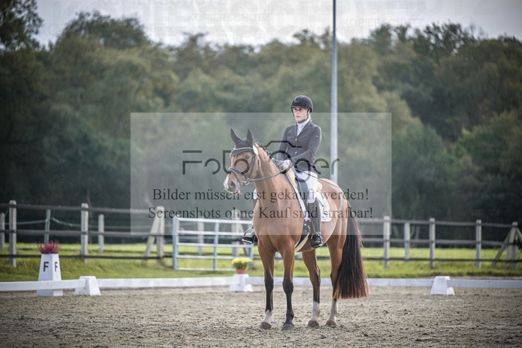 DOS_B192 | Entdecke hochwertige Reitturnierfotos von Foto Oger. Professionell, emotional und authentisch – jetzt Lieblingsmomente im Shop bestellen.Deutschlandweite Turnierfotografie. - Realisiert mit Pictrs.com