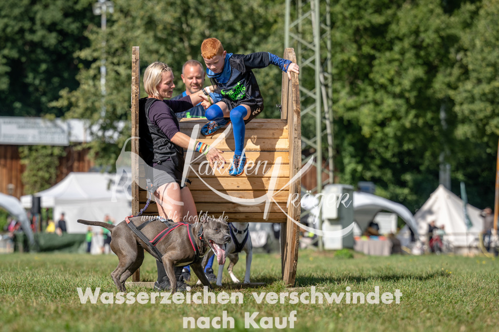 1119_ZZ94599 | kk-dogfotos