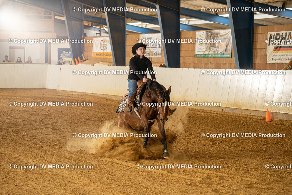 MIT00348 | dv-media-shop - Realisiert mit Pictrs.com