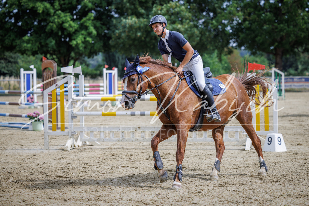 20260705-_3LI6814 | Tierfotografie Pferde, Hunde, Katzen, Haustiere.
Turnierfotografie Reitturniere, Reiten, Springreiten, Dressur in Hanau, dem Main-Kinzig-Kreis und dem Rhein-Main- Gebiet um Frankfurt