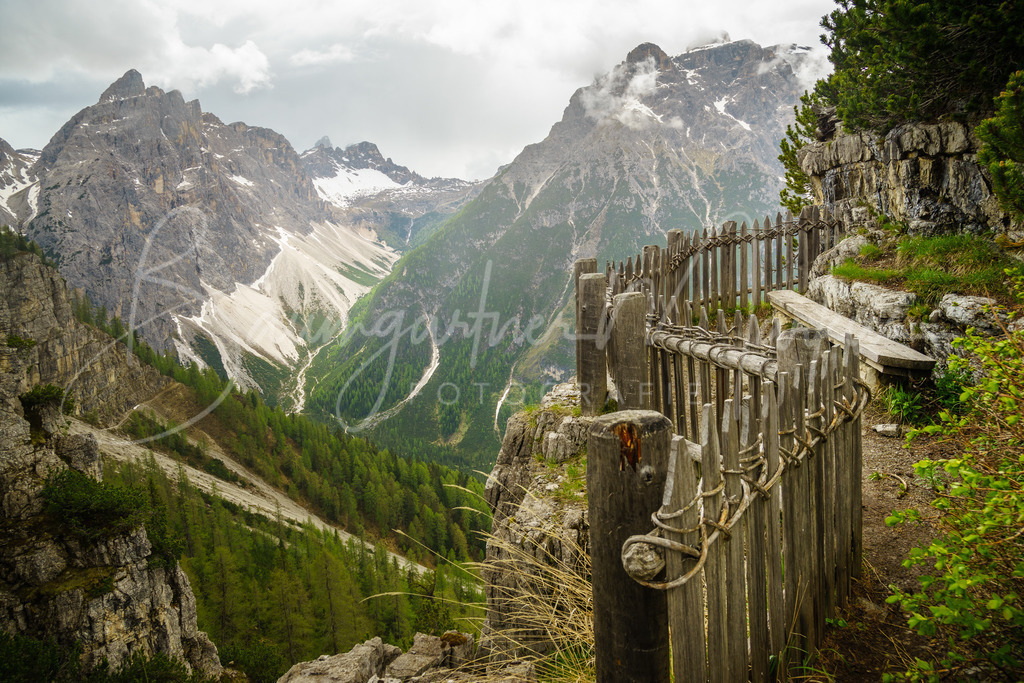 _DSC4907 | Baumgartner Markus Fotografie