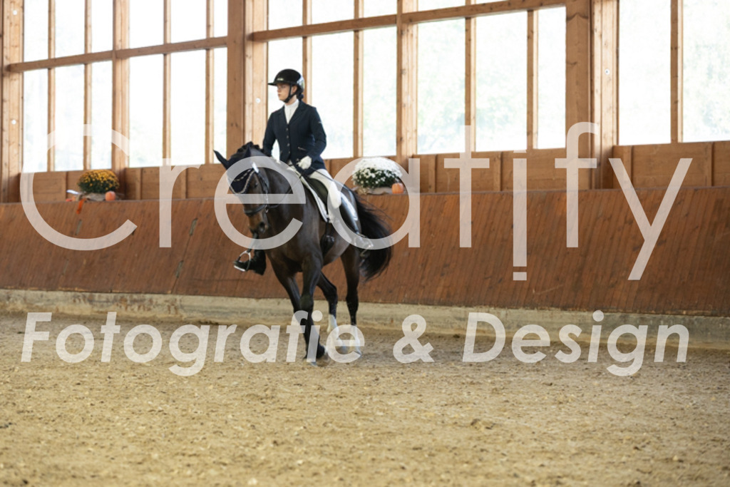 IMG_4732 | Creatify Fotografie