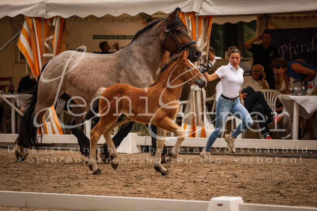 SaHF00006 | Leoni Ertmer Photography - Realisiert mit Pictrs.com