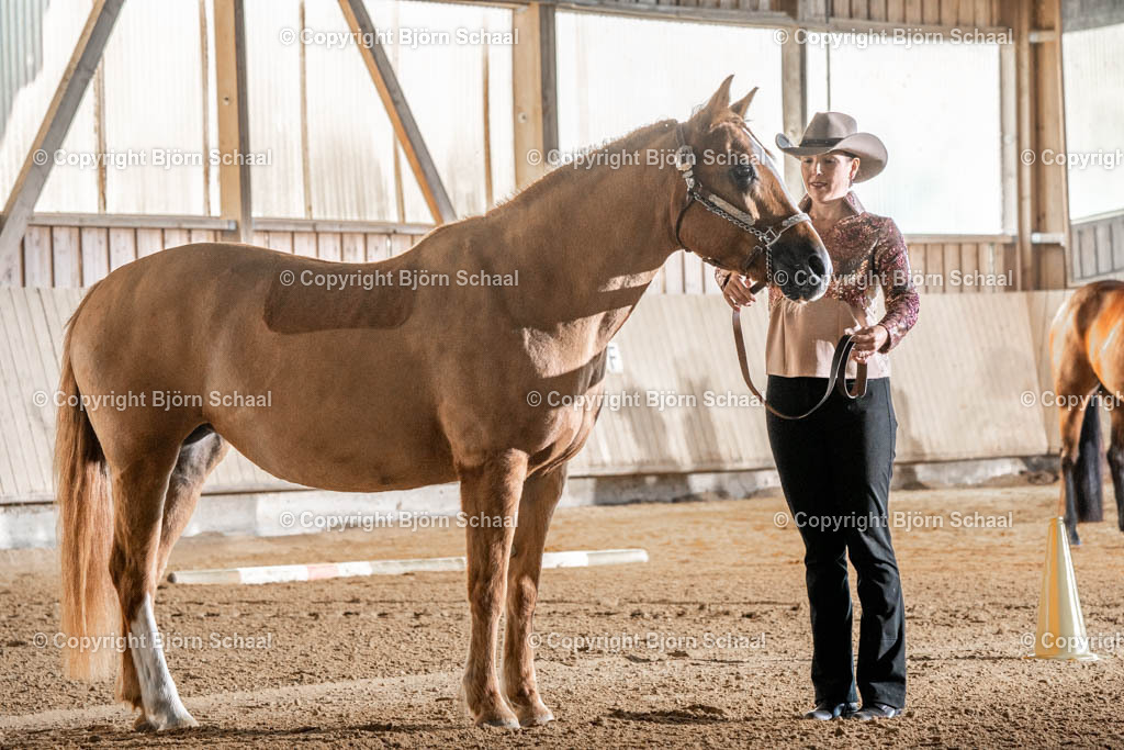 HEB03559 | BS-foto