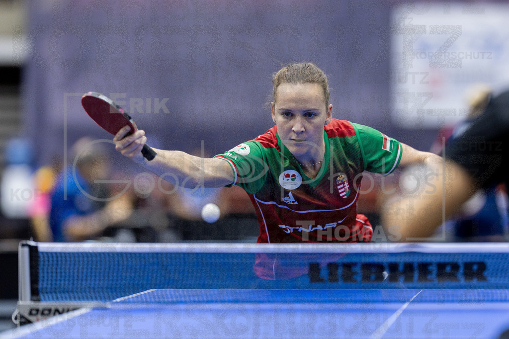 European_Championships_2024-10-15_047 | good-photos - Realized with Pictrs.com