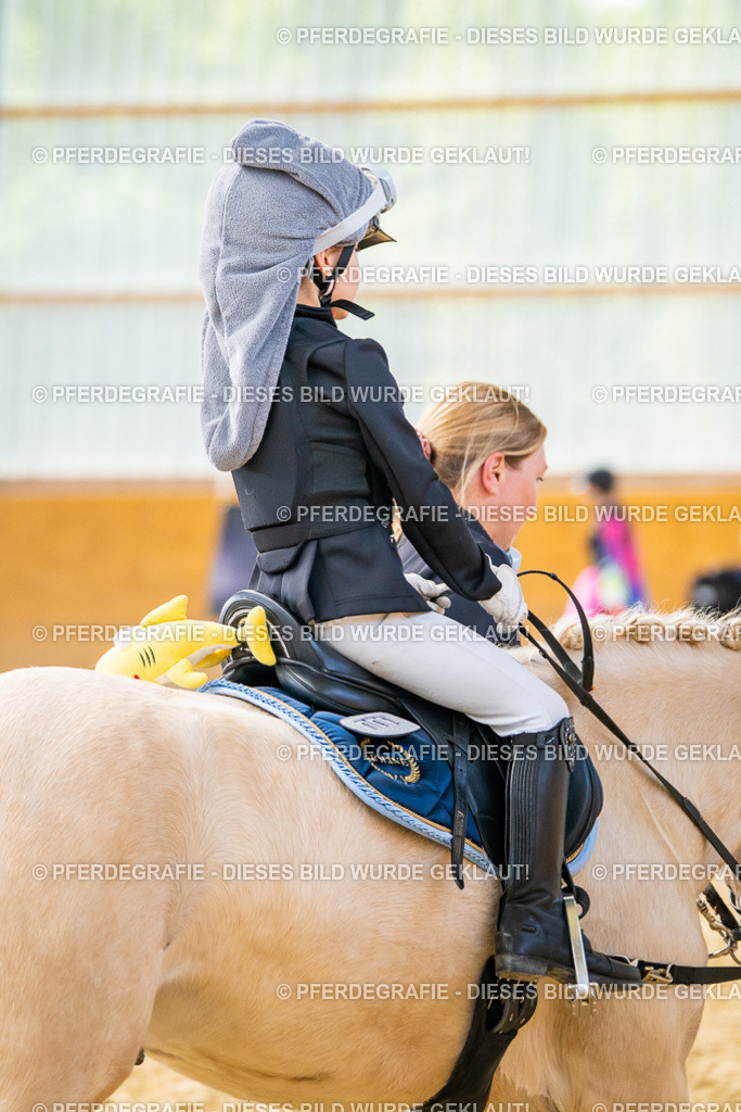 DSC00697 | Pferdegrafie