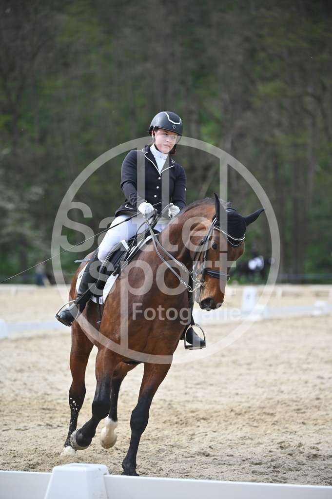 DSC_4973 | sattelsport - Realisiert mit Pictrs.com