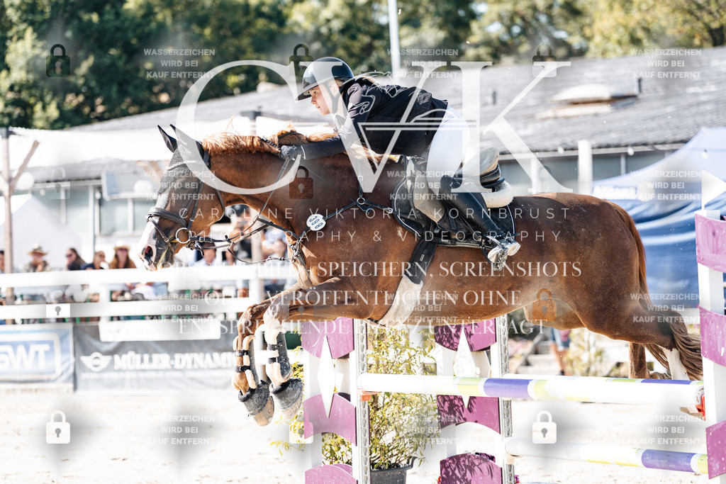 CK907793 | Turnierfotografie Pferdefotografie Trier Rheinland-Pfalz Pferdesport Reitsport Tierfotografie Sportfotografie Pferdevideo Pferdevideografie Equestrianvideography equestrianphotography  - Realisiert mit Pictrs.com