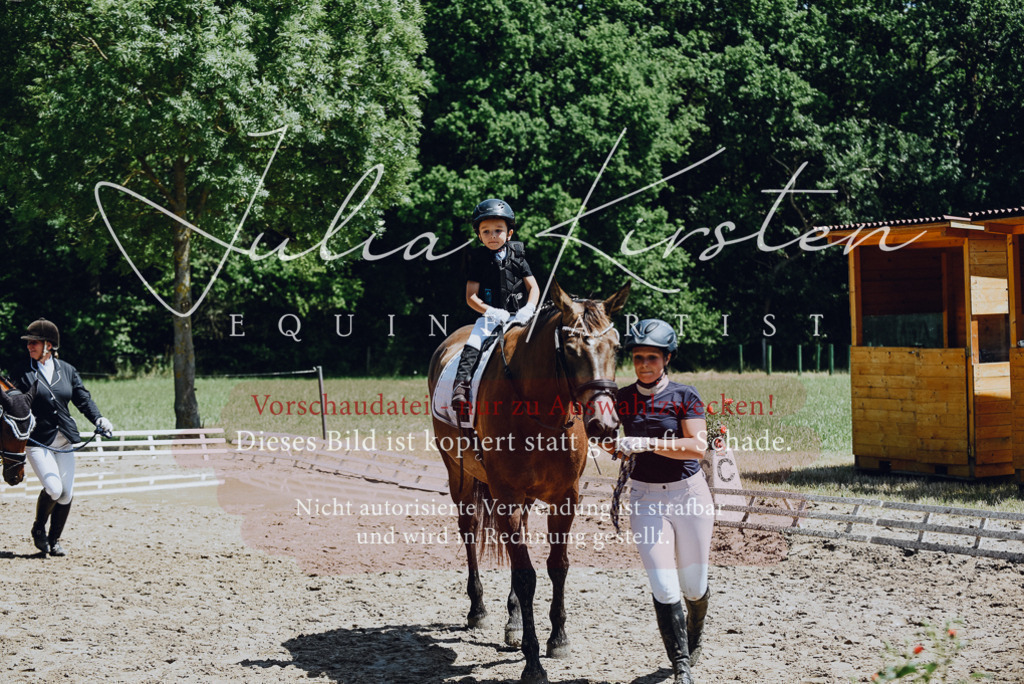 DSC_2600 | Pferde- und Turnierfotografie in Westsachsen. Pferdeportraits, Auftragszeichnungen und intuitive Kunst.