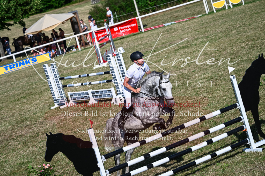 DSC_2568 | Pferde- und Turnierfotografie in Westsachsen. Pferdeportraits, Auftragszeichnungen und intuitive Kunst.