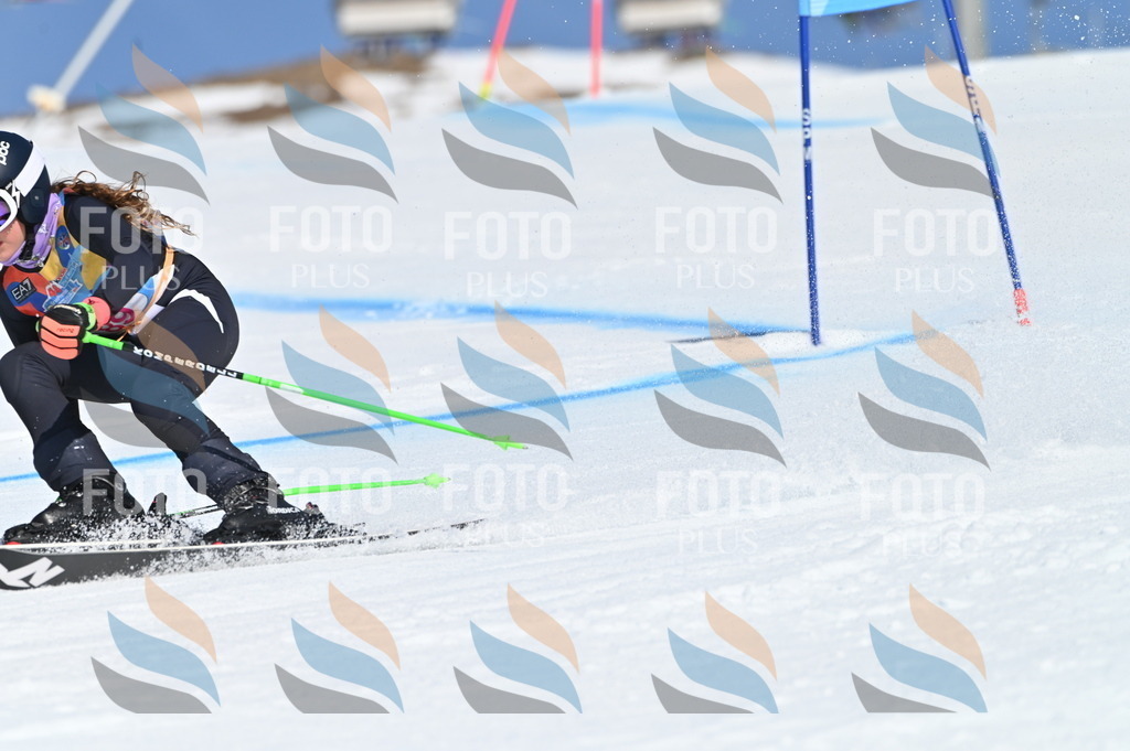 BGV_9241 | holidayphoto