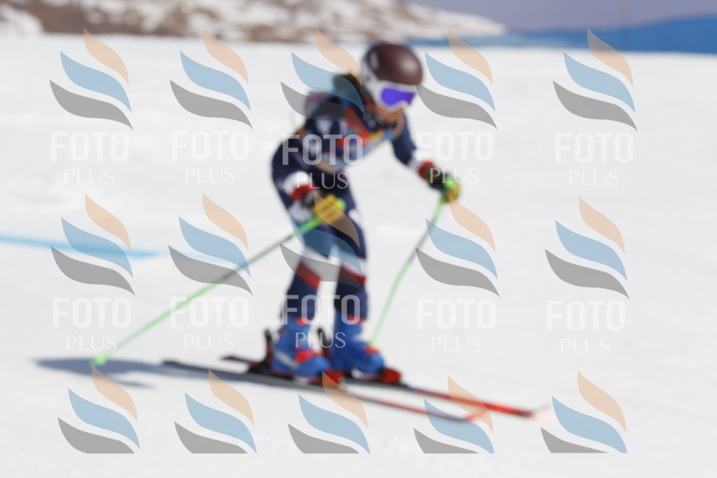 _U3G0465 | holidayphoto