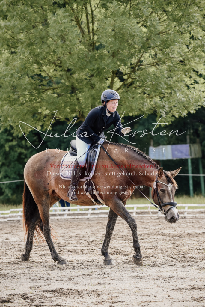 DSC_9324 | Pferde- und Turnierfotografie in Westsachsen. Pferdeportraits, Auftragszeichnungen und intuitive Kunst.