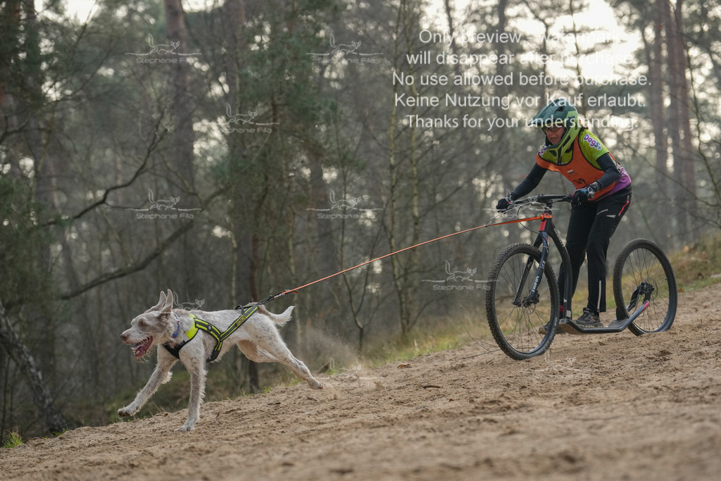 Scooter1-209 | stephaniefillaphotographie - Realisiert mit Pictrs.com