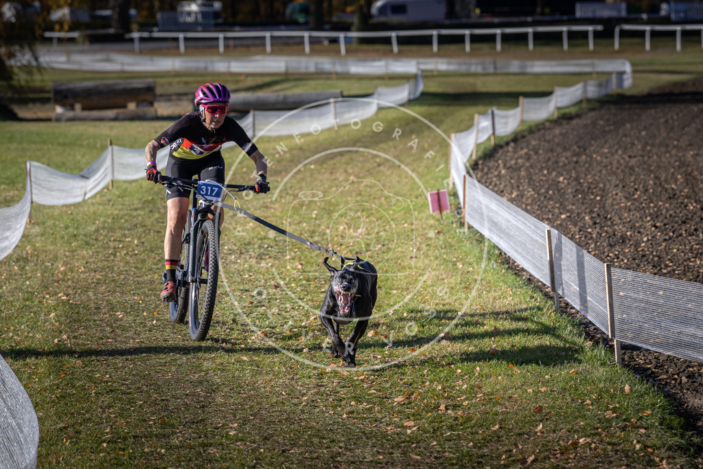 CaniXpix_DV3A6439 | Hundefotografie, Tierfotograf, Pfotenfotografie, Fotoshooting Hund, Hunde Portrait, Hundesport, Hundeportraits, Heideshooting, Hunde, Sportfotograf, Hundefotograf, Turnierhundsport, THS,  - Realisiert mit Pictrs.com