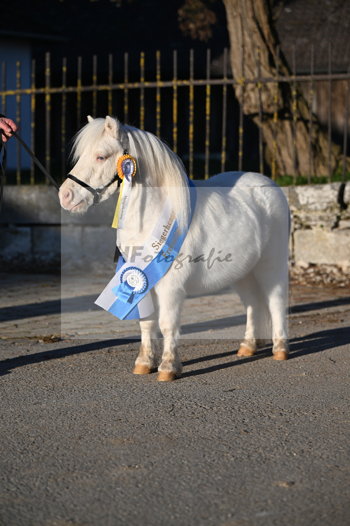 Kat-Nr. 14 Elmhorst Irish Cream v. Elmhorst Irish Coffee_Elmer_49250909 | hf-fotografie - Realisiert mit Pictrs.com