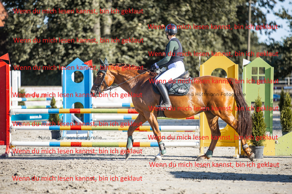 BK1A7634 | Turnierbilder Turnierfotos Nina Hüffmann Turnierfotografie Pferdefotografie Tierzeichnung Haustierzeichnung Pferdezeichnung Hundezeichnung Videograf  - Realisiert mit Pictrs.com