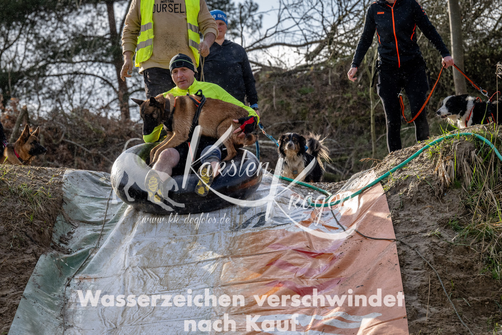 1623_ZZ90741 | kk-dogfotos