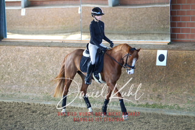 DKP42144 | Turniersportfotografie; Pferdefotografie; Dressurfotografie