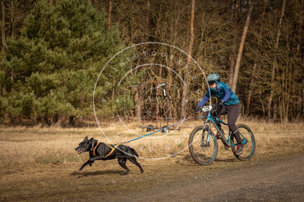 DV3A4533 | Hundefotografie, Tierfotograf, Pfotenfotografie, Fotoshooting Hund, Hunde Portrait, Hundesport, Hundeportraits, Heideshooting, Hunde, Sportfotograf, Hundefotograf, Turnierhundsport, THS,  - Realisiert mit Pictrs.com