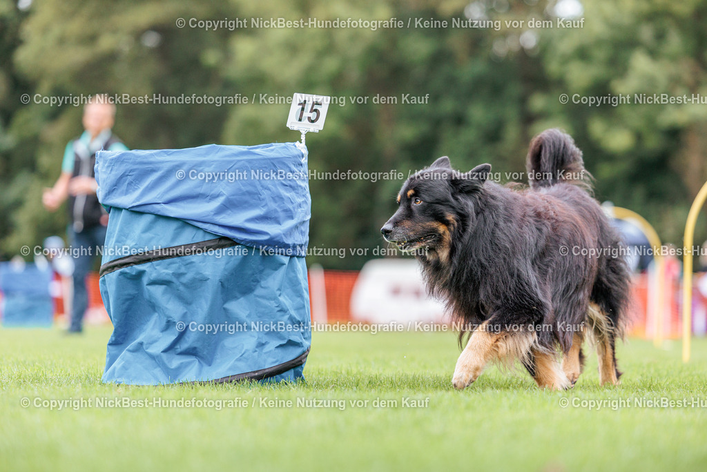 BSP Hoopers-H3 T2 Tag2-2026-Nickbest-Hundefotografie-TuS Komet Arsten e.V.-0671 | Dein Hund! Dein Moment! Deine Erinnerungen! Hundefotografie in Bremen Blumenthal. Ich fange die besonderen Momente deines Vierbeiners ein – ob Indoor mit Blitzanlage oder in der freien Natur. Sicher dir dein Moment und dein Termin für eure Erinnerungen.