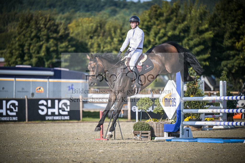 DOS_2986 | Entdecke hochwertige Reitturnierfotos von Foto Oger. Professionell, emotional und authentisch – jetzt Lieblingsmomente im Shop bestellen.Deutschlandweite Turnierfotografie. - Realisiert mit Pictrs.com