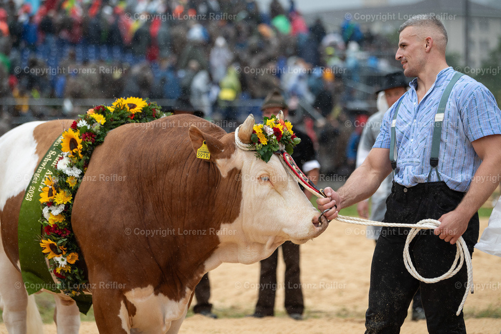 Schwingen -  Unspunnen 2023 | Interlaken, 27.8.23, Schwingen - Unspunnen.