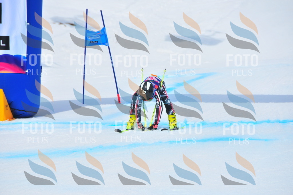 DSC_6384 | holidayphoto