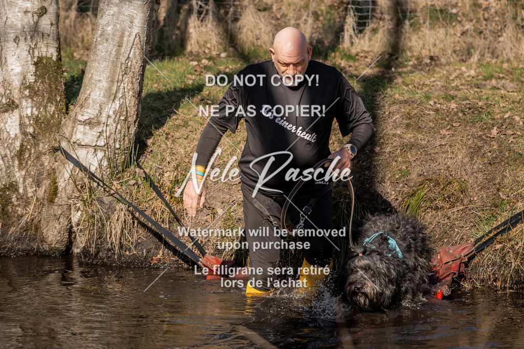 nelerasche_FS0900-1000_291 | nelerasche