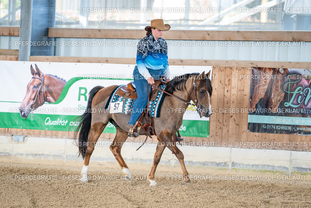 DSC01714 | Pferdegrafie