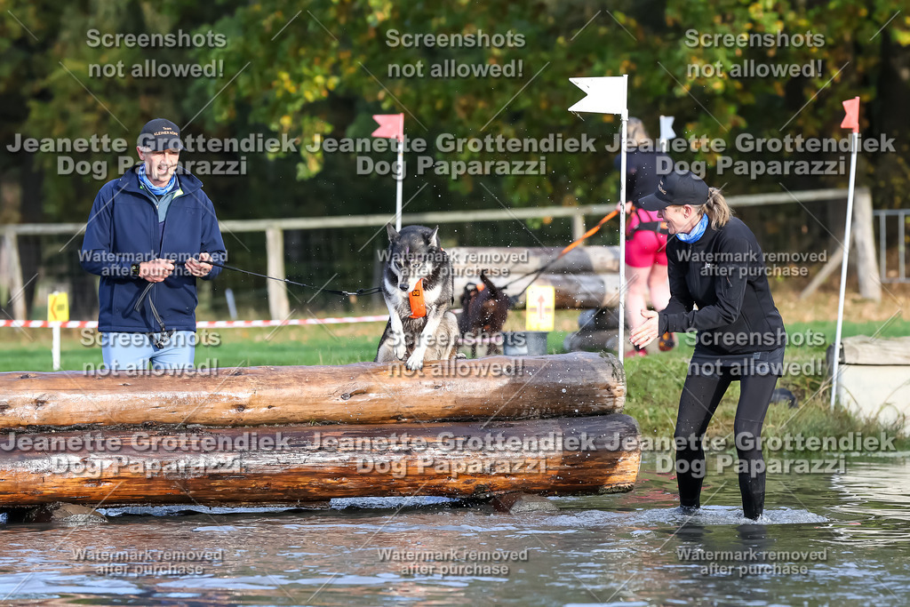 Dog Paparazzi - Strongdog 10-25-7037 | Dog Paparazzi Jeanette Grottendiek Fotografie & Videografie - Realisiert mit Pictrs.com