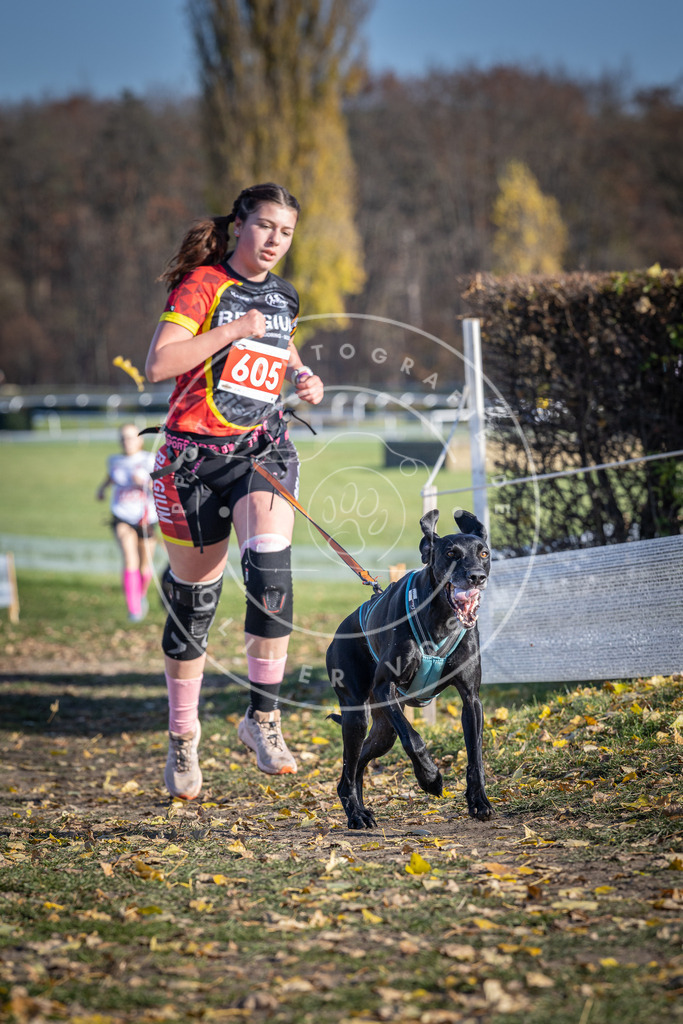 CaniXpix_DV3A9611 | Hundefotografie, Tierfotograf, Pfotenfotografie, Fotoshooting Hund, Hunde Portrait, Hundesport, Hundeportraits, Heideshooting, Hunde, Sportfotograf, Hundefotograf, Turnierhundsport, THS,  - Realisiert mit Pictrs.com