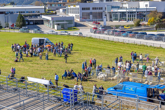 SchaZie Tag | Bildershop von pixelworld.at - Realisiert mit Pictrs.com