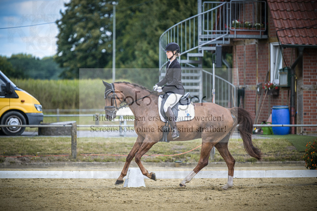 DOS_4803 | Entdecke hochwertige Reitturnierfotos von Foto Oger. Professionell, emotional und authentisch – jetzt Lieblingsmomente im Shop bestellen.Deutschlandweite Turnierfotografie. - Realisiert mit Pictrs.com