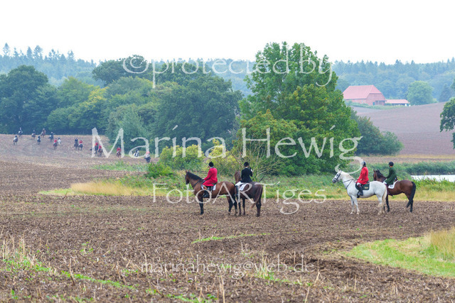Jagd Kletkamp 26-02969_MarinaHewig | Fotografie, FotoArt, PferdesportArt, Pferdesportfotografie, Landschaftsfotografie, Reisefotografie, Reise, Pferde - Realisiert mit Pictrs.com