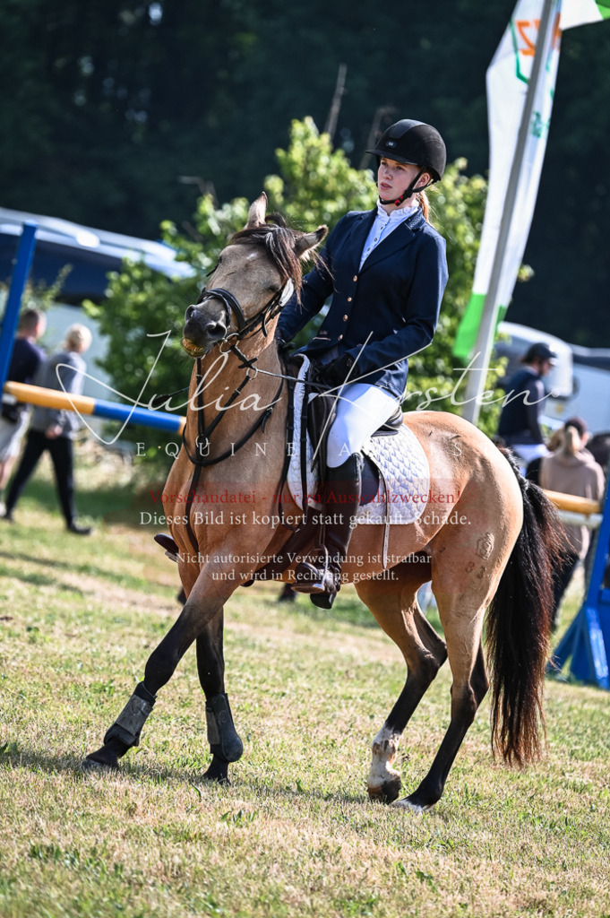 DSC_8023 | Pferde- und Turnierfotografie in Westsachsen. Pferdeportraits, Auftragszeichnungen und intuitive Kunst.