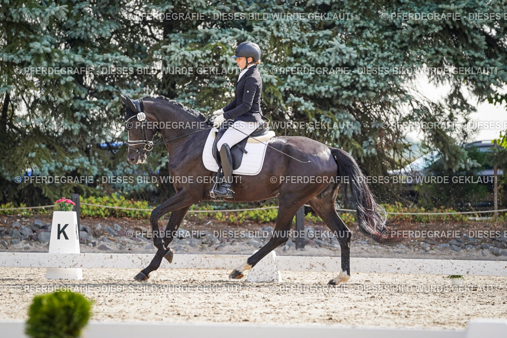 DSC06548 | Pferdegrafie