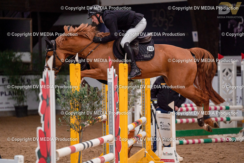 Kranichstein II Tag 1-174 | dv-media-shop - Realisiert mit Pictrs.com