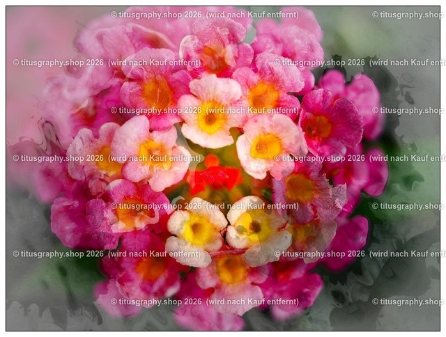 titusgraphy-P6100505_var-123 | Fotokunstarbeit aus der INSTAGRAM-Gallerie auf titusgraphy.eu - Realisiert mit Pictrs.com