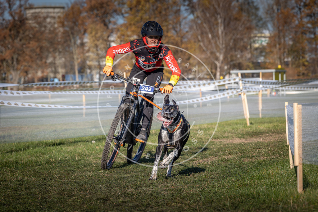 CaniXpix_0L8A4841 | Hundefotografie, Tierfotograf, Pfotenfotografie, Fotoshooting Hund, Hunde Portrait, Hundesport, Hundeportraits, Heideshooting, Hunde, Sportfotograf, Hundefotograf, Turnierhundsport, THS,  - Realisiert mit Pictrs.com