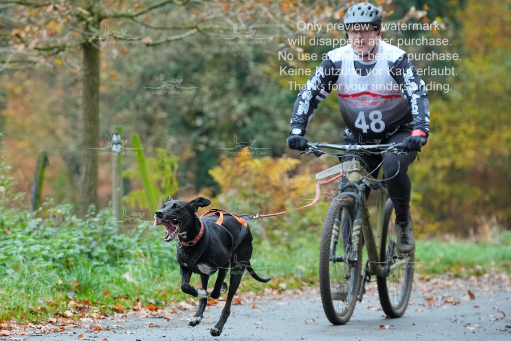 AusschnitteSo-34 | stephaniefillaphotographie - Realisiert mit Pictrs.com