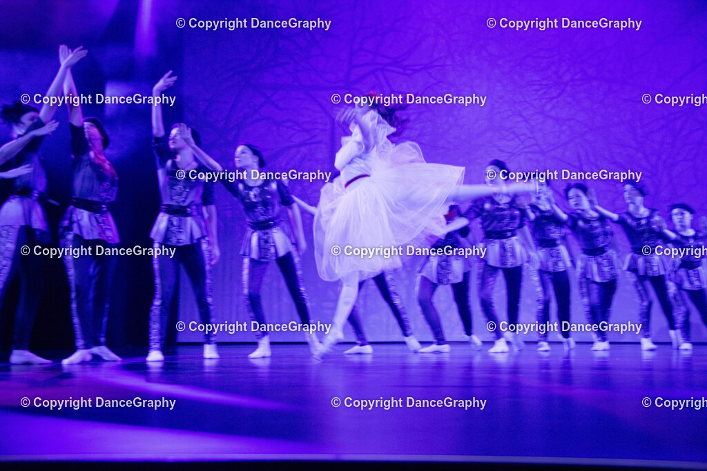 GPHY2729 | DanceGraphy - Realisiert mit Pictrs.com