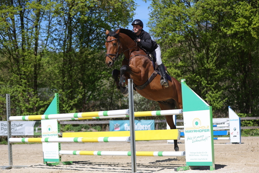 0P6A8163 | Willkommen bei Brunnmayr - Design & Fotografie – Ihrem Spezialisten für Reitturniere und Pferdeveranstaltungen in Oberösterreich, Salzburg und Bayern! Seit über 17 Jahren sind wir leidenschaftlich dabei.