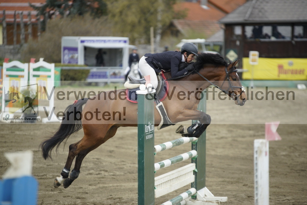 _DSC7408 | equestrian-live-com