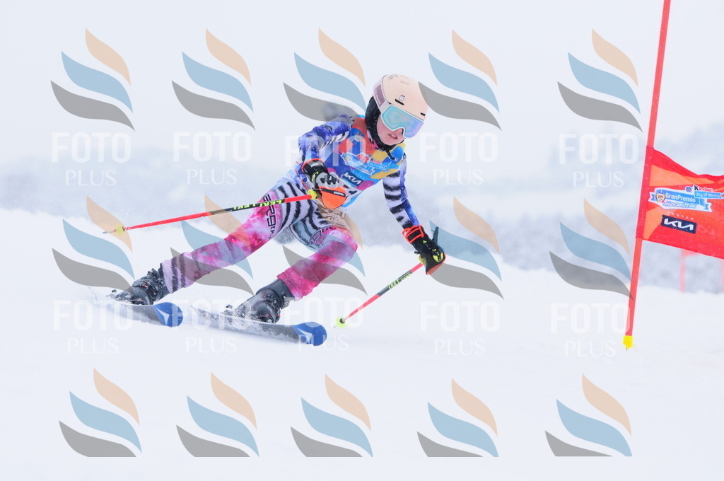 C1806 | holidayphoto