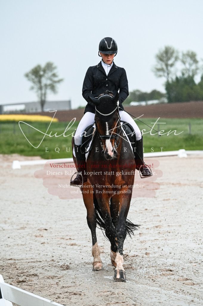 DSC_4138 | Pferde- und Turnierfotografie in Westsachsen. Pferdeportraits, Auftragszeichnungen und intuitive Kunst.